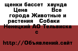 щенки бассет- хаунда › Цена ­ 20 000 - Все города Животные и растения » Собаки   . Ненецкий АО,Тельвиска с.